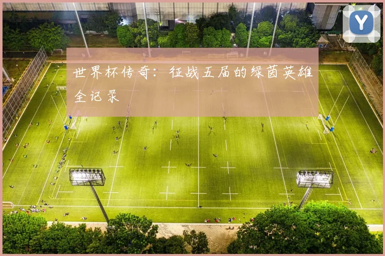 世界杯传奇:征战五届的绿茵英雄全记录