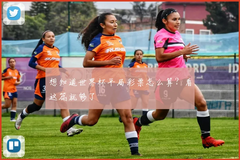 想知道世界杯平局彩票怎么算？看这篇就够了