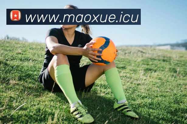 kaiyun中国官方网站平台生态图